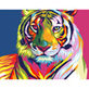 Diamond Painting Vibrant Colors