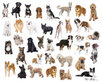Diamond Painting Dogs by Breed
