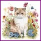 Diamond Painting Cat Exotic