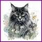 Diamond Painting Cat Maine Coon