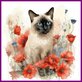 Diamond Painting Cat Siamese