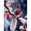 Diamond Painting Winter Vogel 03