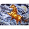 Diamond Painting Schilderij Paard 03