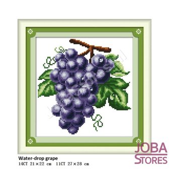 Borduur Pakket Fruit 03 11CT voorbedrukt (27x28cm)