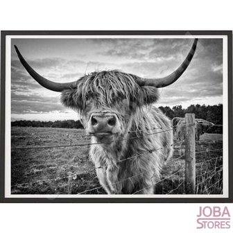 Diamond Painting Scottish Highlander 40x50cm