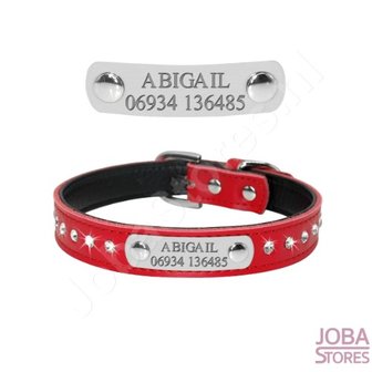 Custom Dog Collar 006 with your own name