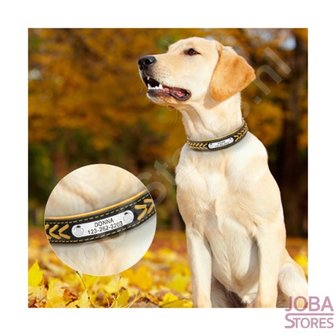 Custom Dog Collar 011 with your own name