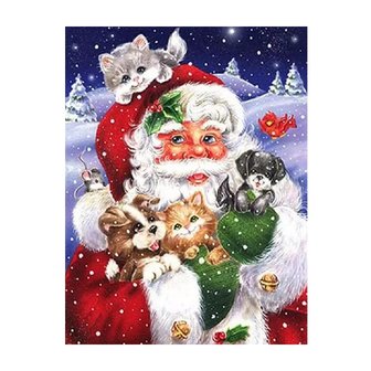 Diamond Painting Santa Claus with kittens and puppies 30x40cm