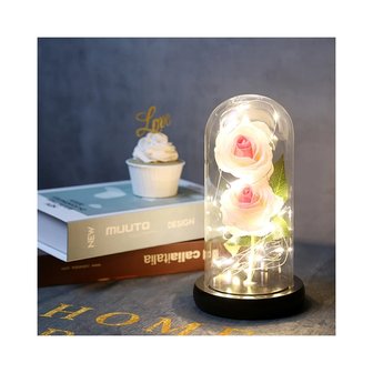 Rose in bell jar with lighting double Light Pink - Valentine&#039;s Day - Mother&#039;s Day TIP