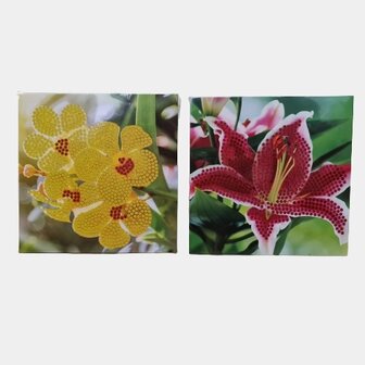 Grafix Diamond Painting card making 13x13cm 001 (2 pieces)