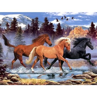 Diamond Painting Three Horses 01 (size and shape of stones of your choice)