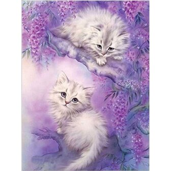 Diamond Painting Twee witte kittens
