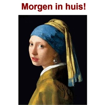 Diamond Painting Girl with the pearl 30x40cm