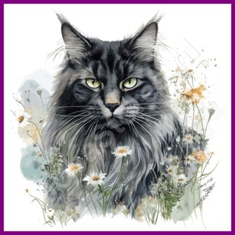 Diamond Painting Kat Maine Coon