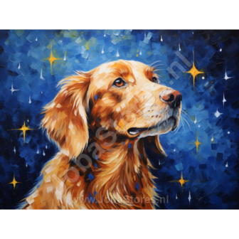 Diamond Painting Sterrennacht Hond