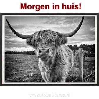 Diamond Painting Schotse Hooglander 40x50cm