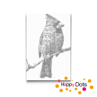 HappyDots DOT Painting Vogels 18 - 40x60cm