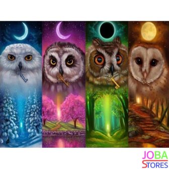 Diamond Painting Owls 4 Seasons 50x40cm