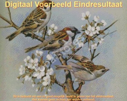 Eindresultaat Diamond Painting Musjes