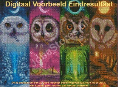Diamond Painting Owls 4 Seasons 40x30cm