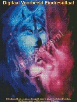 Diamond Painting Wolves Couple 30x40cm