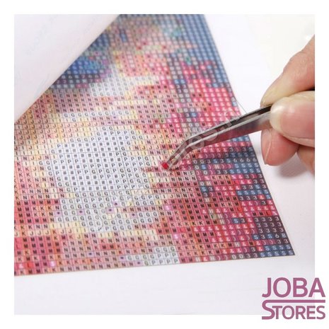 Diamond Painting Aap Noot Mies 80x60cm