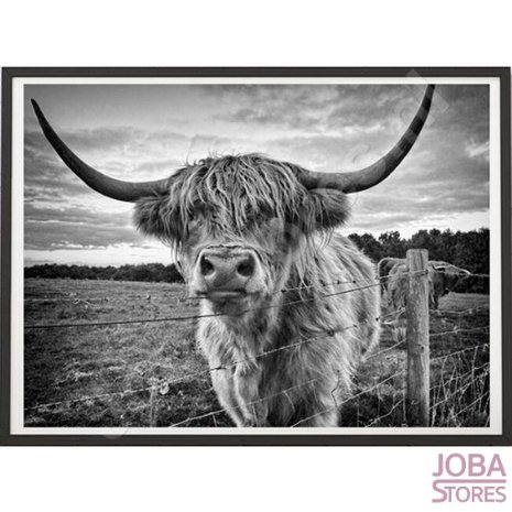 Diamond Painting Scottish Highlander 40x50cm