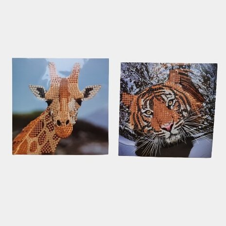 Grafix Diamond Painting card making 13x13cm 003 (2 pieces)