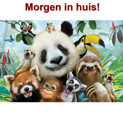 Diamond Painting Gekke Jungle Dieren