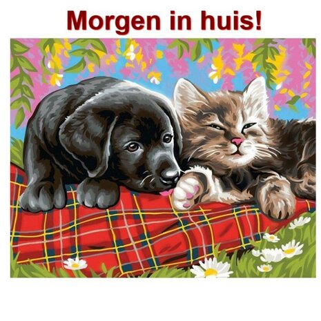 Diamond Painting Kat en Hond