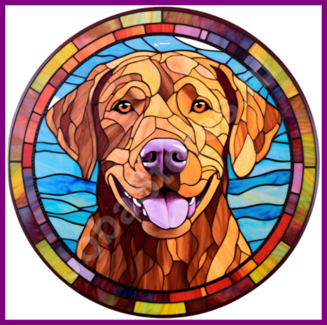 Diamond Painting Glas in lood Hond - Chesapeake Bay Retriever