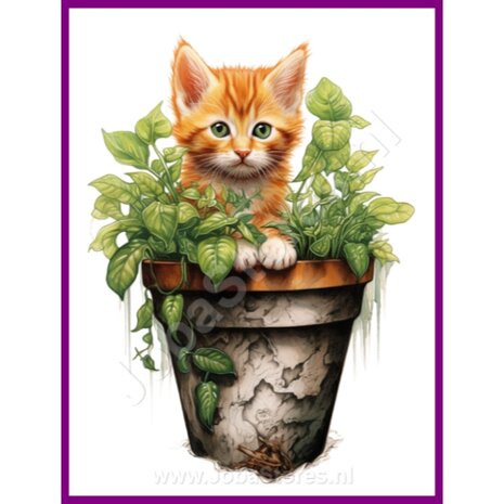 Diamond Painting Kitten in plantenpot