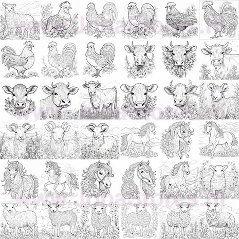 Digital Coloring Book for Adults Farm Animals 01 (36 Coloring Pages)