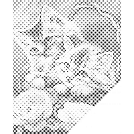 HappyDots DOT Painting Kittens in mand 30x40cm - Stippelschilderij zwart