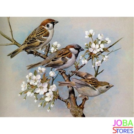 Diamond Painting Sparrows 40x30cm