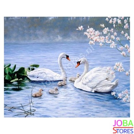 JobaStores Diamond Painting Zwanen 50x40cm