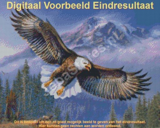 Digitaal voorbeeld Diamond Painting Adelaar 40x50cm