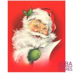 Diamond Painting Kerstman Rood 20x25cm