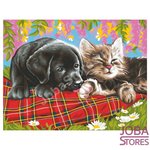 Schilderen op nummer "Sequin Art" Senior Hond & Kat