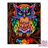 Schilderen op nummer Gekleurde Uil 40x50cm_