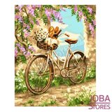 Schilderen op nummer Fiets met bloemen 40x50cm_