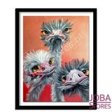 Diamond Painting Drie Struisvogels 30x40cm