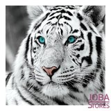 Diamond Painting Witte Tijger Kop 20x20cm