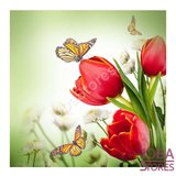 Diamond Painting Tulpen 20x20cm