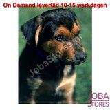 On Demand Diamond Painting 0015_