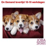 On Demand Diamond Painting 0021_