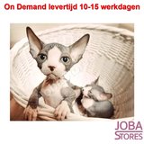 On Demand Diamond Painting 0028_