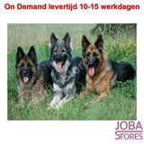 On Demand Diamond Painting 0030_