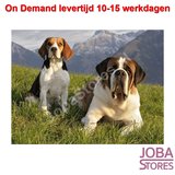 On Demand Diamond Painting 0032_