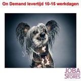 On Demand Diamond Painting 0036_